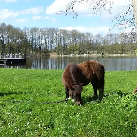 Mit Aussensauna In Wendorf (Kuhlen-Wendorf)