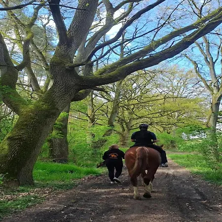 Mit Aussensauna In Wendorf (Kuhlen-Wendorf)