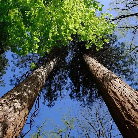 Mit Aussensauna In Wendorf (Kuhlen-Wendorf)