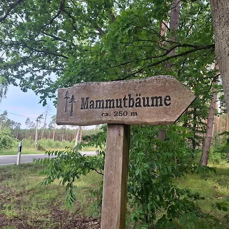 Prázdninový dům Mit Aussensauna In