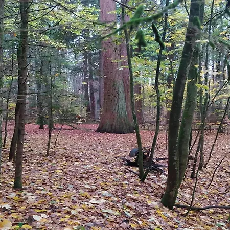 Prázdninový dům Mit Aussensauna In