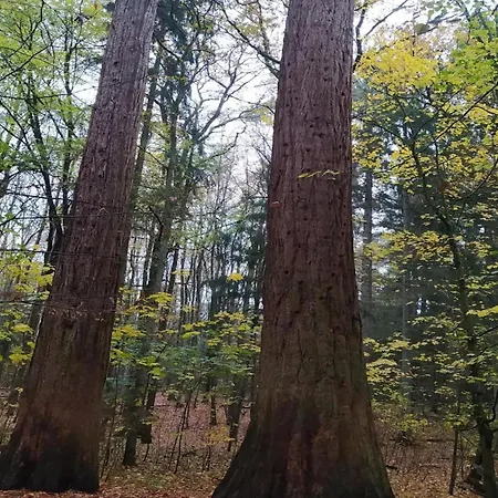 بيت للعطل Mit Aussensauna In *