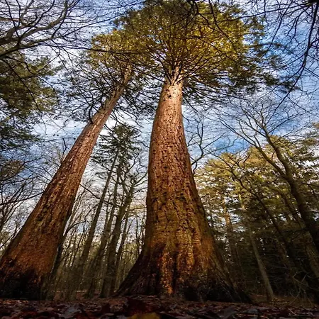 Mit Aussensauna In بيت للعطل