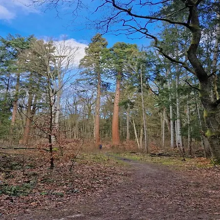 بيت للعطل Mit Aussensauna In *