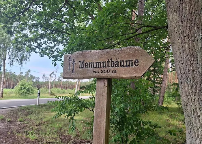 Casa vacanze Mit Aussensauna In